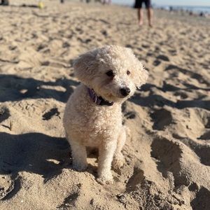 Meet your Posher, Sandra